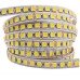 Зображення Світлодіодна стрічка 5054 120 LED IP21 || Біла Тела у категорії Світлодіодні стрічки